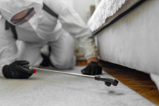 Professional Cockroach Control technician working in Wareham Center, MA